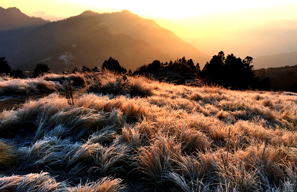 Poon Hill- Ghorepani Trekking